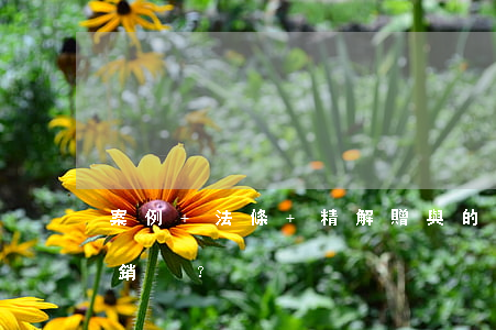 案例+法條+精解：贈與的房屋到底能不能撤銷？